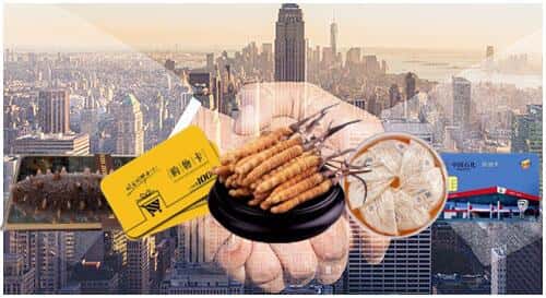 昆明市官渡回收礼品